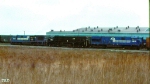 CR 6824